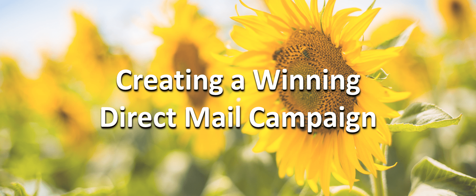 Creating a winning direct mail campaign